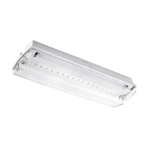 Bulkhead Led Emergency Light